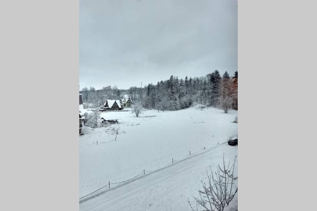 Apartament White Biały Dunajec Exterior foto